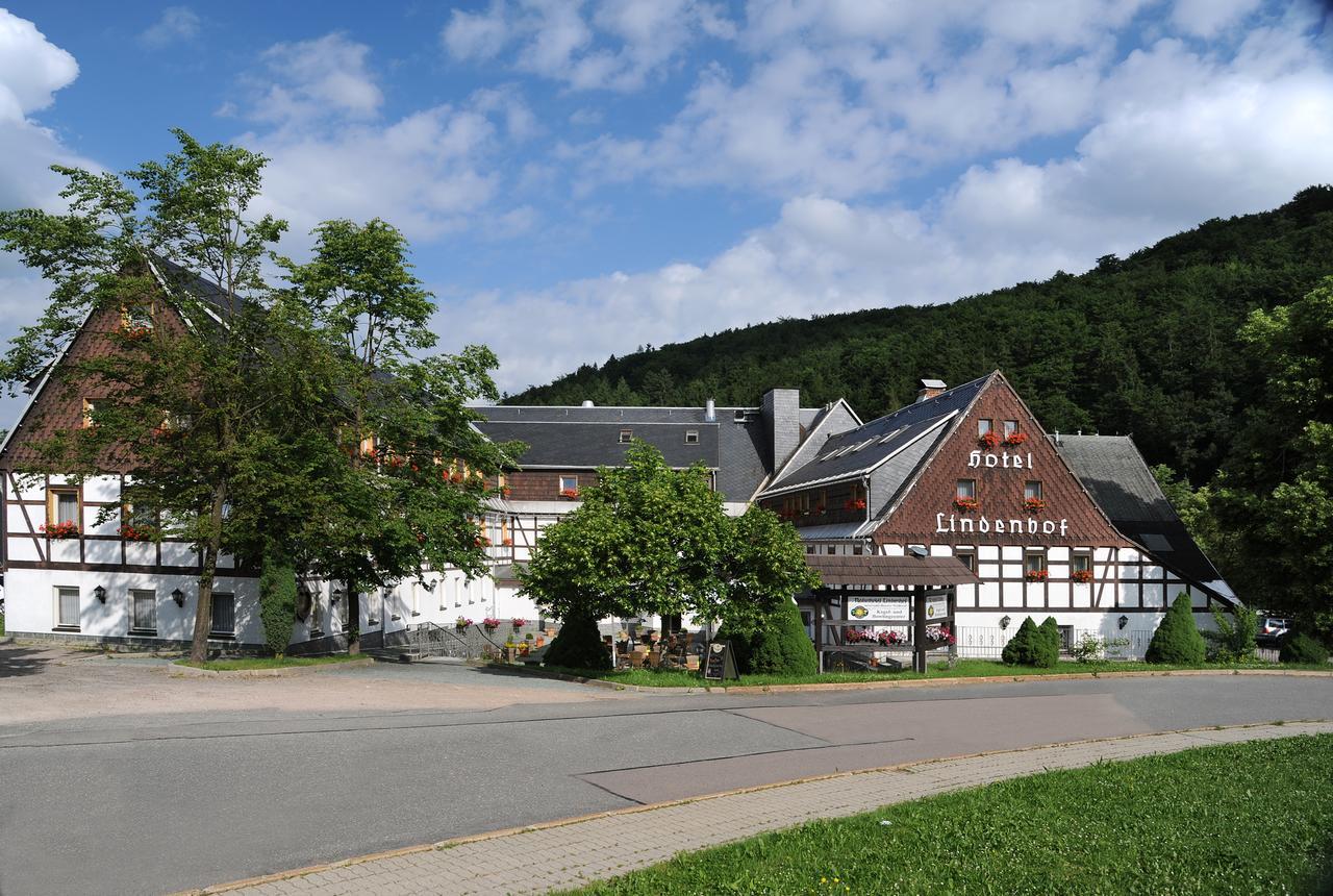 Naturhotel Lindenhof Rechenberg-Bienenmühle Esterno foto